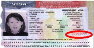 u.s. visa number